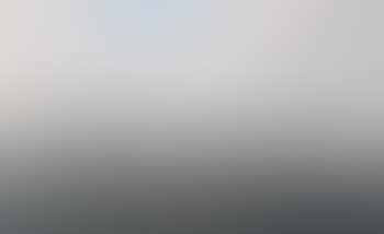 Steamship El Rio (preview)