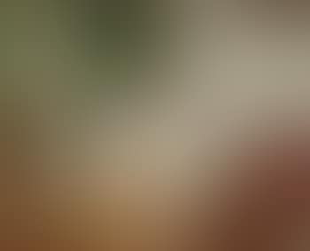 Le lever (preview)