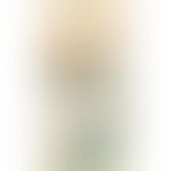 View Of Mt Hua (preview)