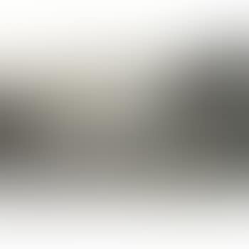 Gift (Diptych) (preview)