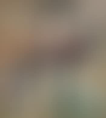 Le due scarpe (preview)