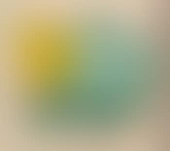 Paysage (preview)