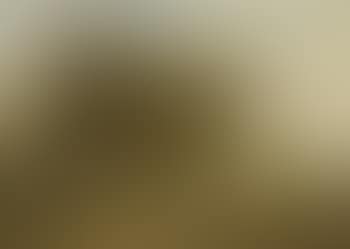 Baumlandschaft mit Bachlauf (preview)