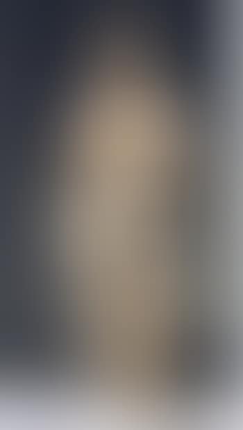 Figura muliebre (preview)
