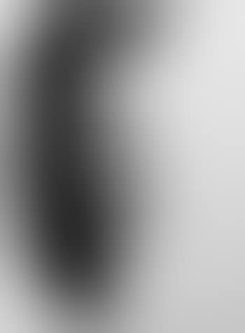 Volto (preview)
