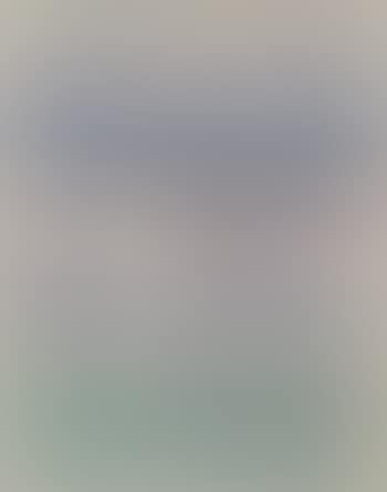 Paysage (preview)