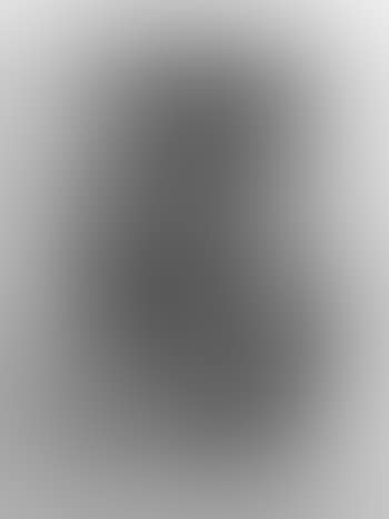 Volto (preview)