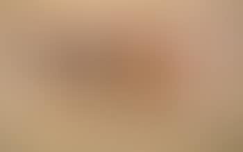 Camels at dusk. Camel head. Three camels in the desert (preview)