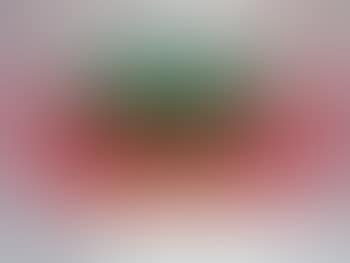Argento (preview)