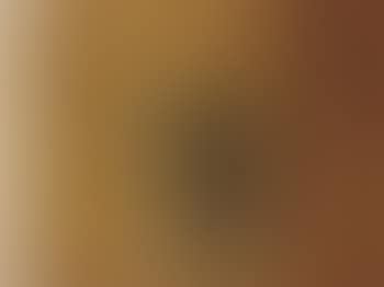 Particolare per una camera d'artista (preview)
