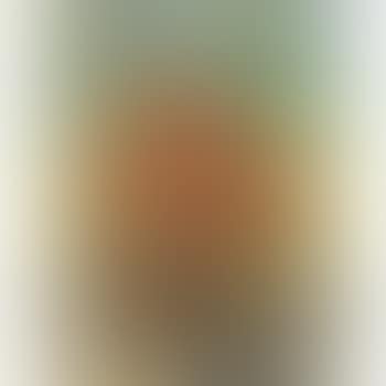 Still Life With Flowers (preview)