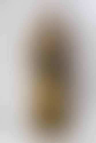 Hl. Barbara (preview)