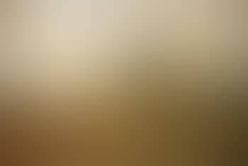 Paysage (preview)