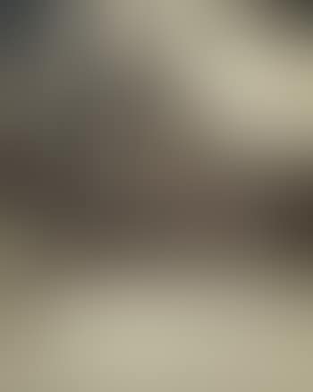 Les Archives (preview)