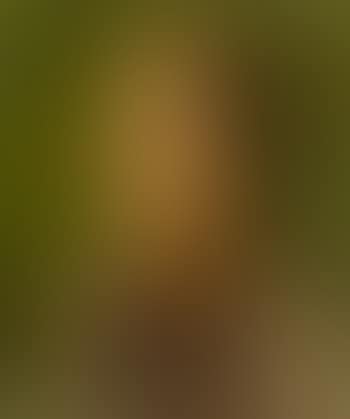 Little girl in the fields (preview)