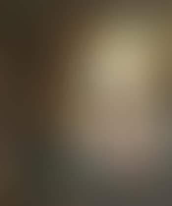 Singe savant au miroir (preview)