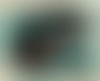 Sans titre (preview)