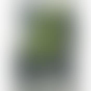 Untitled (from out of…) (preview)