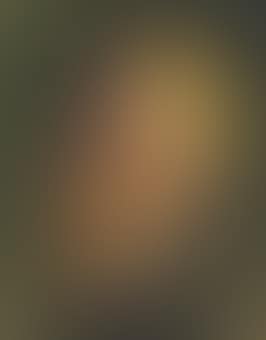 Autoportrait (preview)