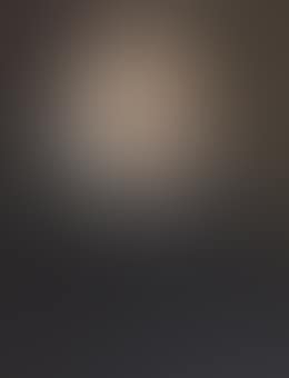 Portrait of a gentleman, half-length, in a ruff (preview)