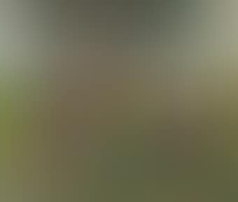 Fertility (preview)