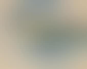 Paysage (preview)