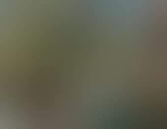 Landschaft (preview)