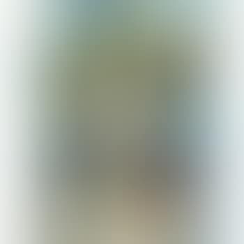 Femme Au Grand Chapeau. Buste (preview)