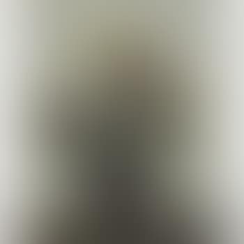Chrysanthèmes (preview)