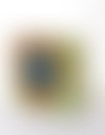 Untitled (painting for cover of book), not dated (preview)