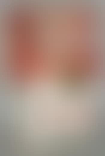 Campbell's Tomato Soup can (preview)