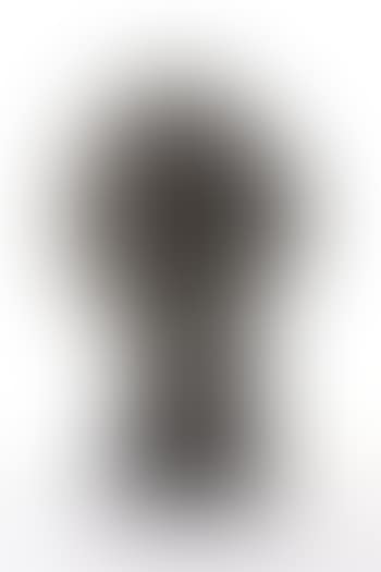 Head of Albert Einstein (preview)