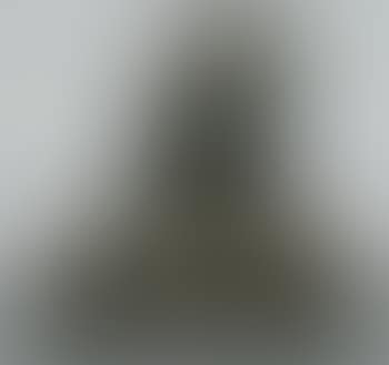 First Portrait of Euphemia Lamb (preview)