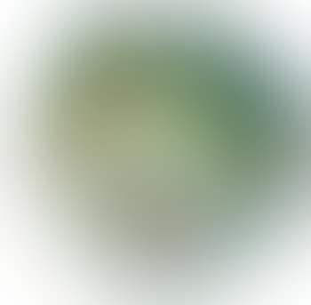 Abstraction (preview)