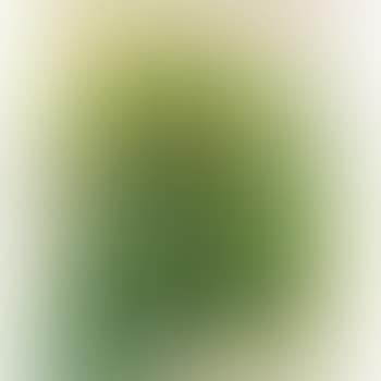 Leaf Children (preview)