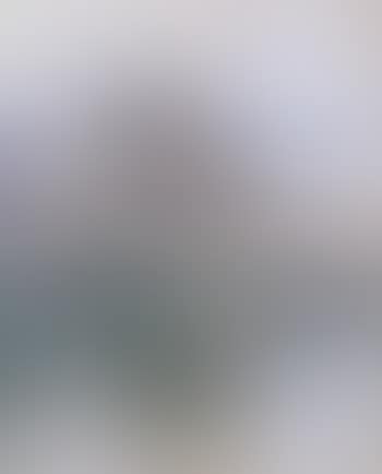 Le port de Honfleur (preview)