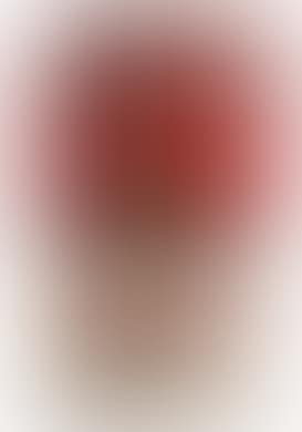 Campbell‘s Tomato Rice Soup Can (preview)