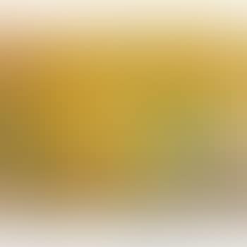 Two Sunflowers (preview)