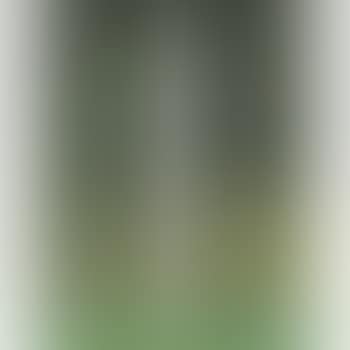 Untitled (Totem) (preview)