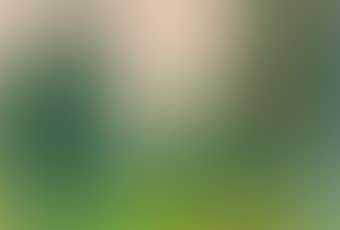 Details of Renaissance Paintings: Leonardo da Vinci, the Annunciation, 1472 (preview)