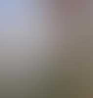 Paysage (preview)