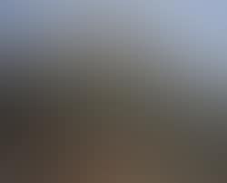 Paysage provencal (preview)