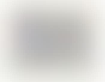 Untitled (Silver spot landscape) (preview)