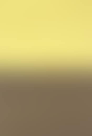 Ohne Titel (Gelb-Braun) (preview)