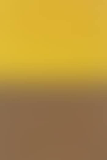 Ohne Titel (Orange-Braun) (preview)