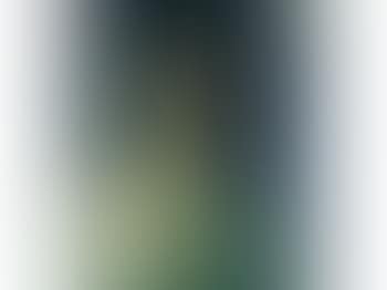 Portrait de femme (preview)