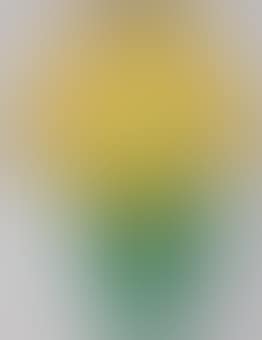 Squash Blossom No. II (preview)