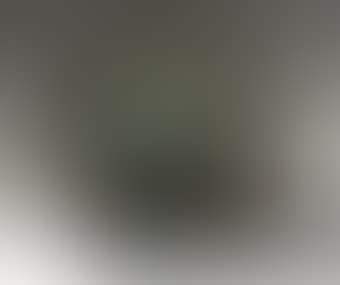 Vase with Bunch (AR 303) (preview)