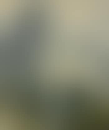 Schnee und Nebel (preview)