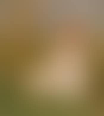 Lenz (preview)